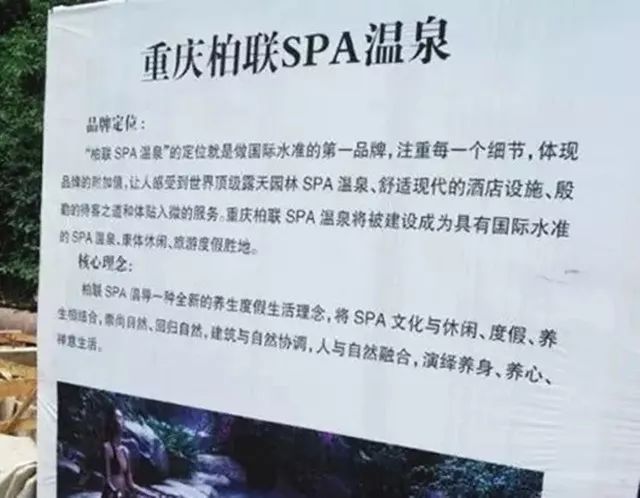 重庆柏联集团_重庆柏联老总失事_重庆柏联酒店管理有限公司