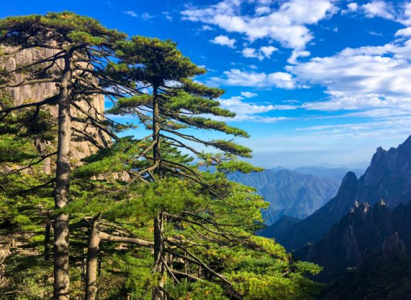 杭州去黄山旅游，这些攻略你必须知道