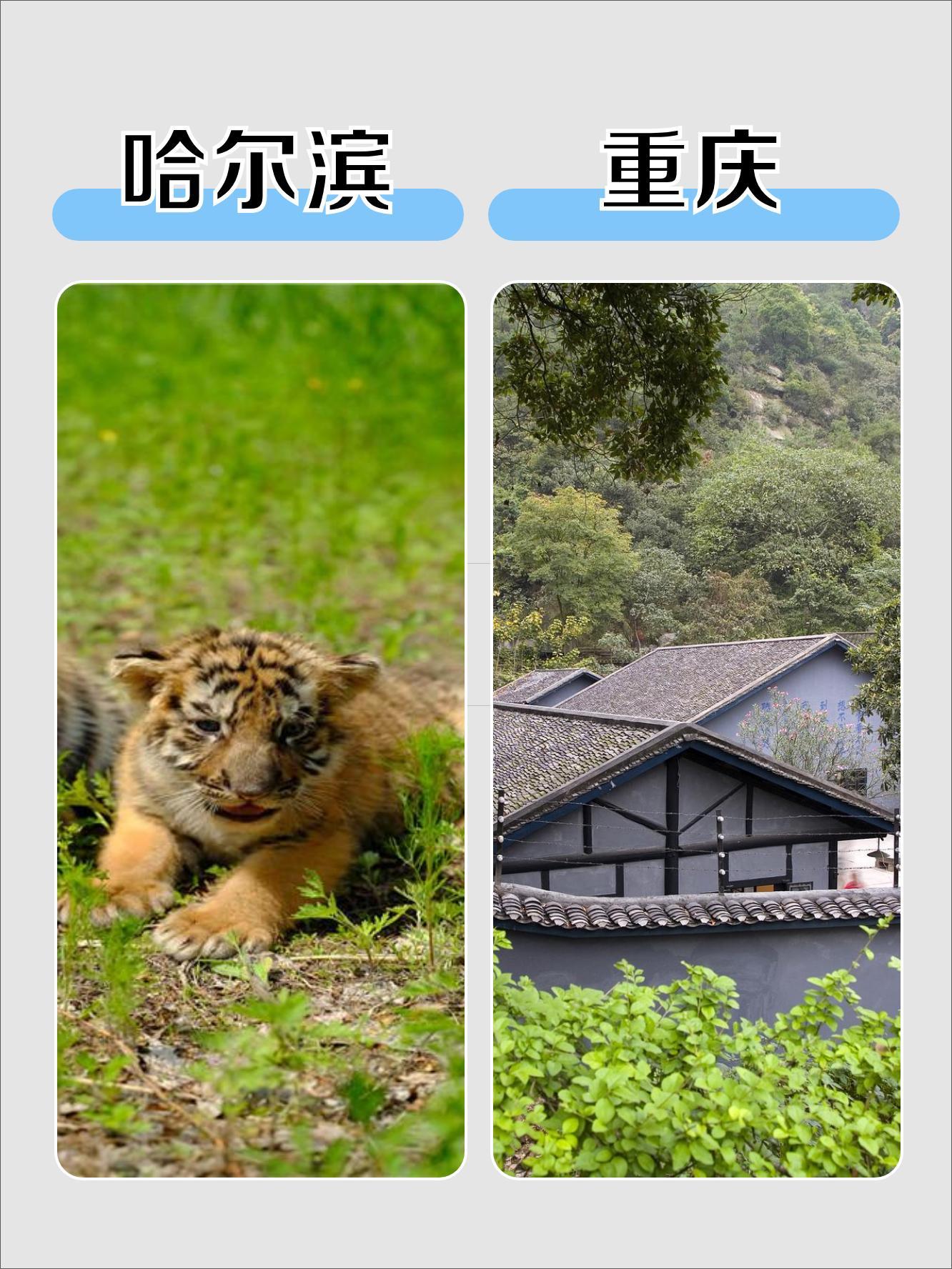 旅游遇难题？想找上海中青旅衡山路电话？多种途径大揭秘