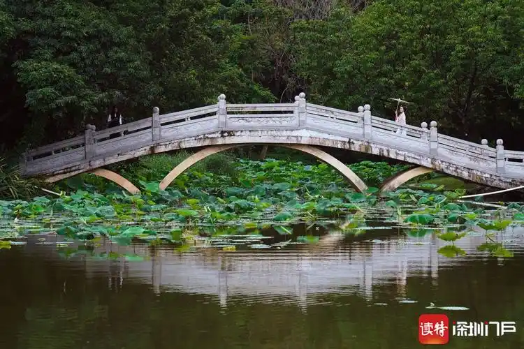 书香世家酒店地址在哪？旅客急需，多种查询途径