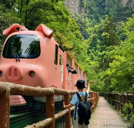 去张家界旅游？酒店团购竟有这么多门道