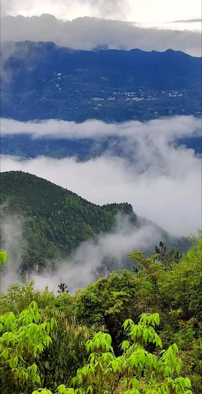 峨眉接引殿住宿大揭秘：迷人风景背后有啥隐情？