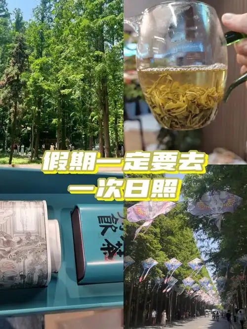 揭秘酒店入住率：受多种因素影响，掌握它才能盈利